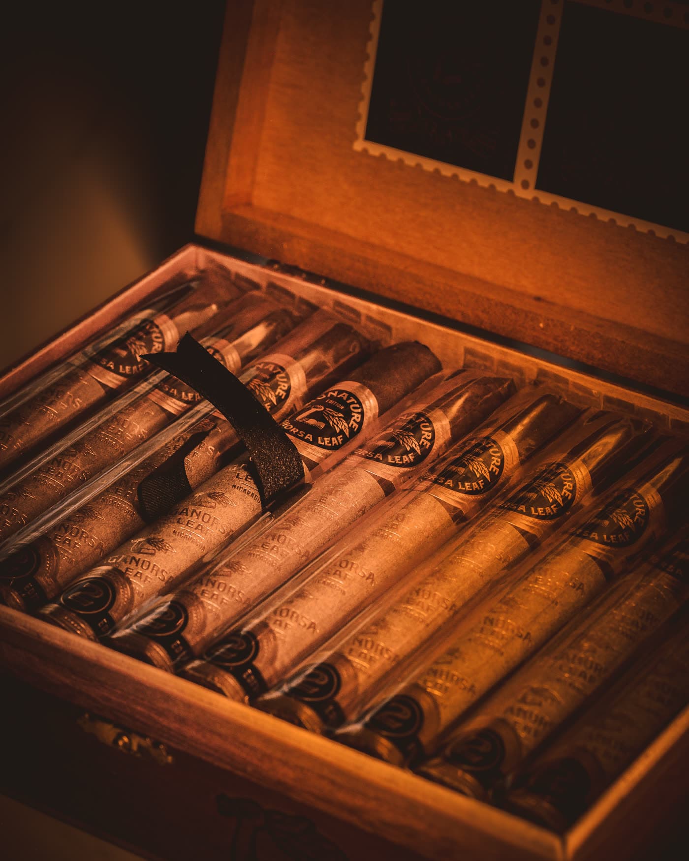 An open humidor of Signature Edition cigars in cellophane sleeves, lit warmly from one side